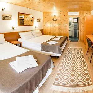 3* Pensiune Pensiunea Casa